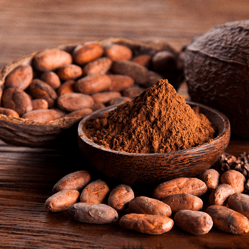 Best Vegan Protein Cacau